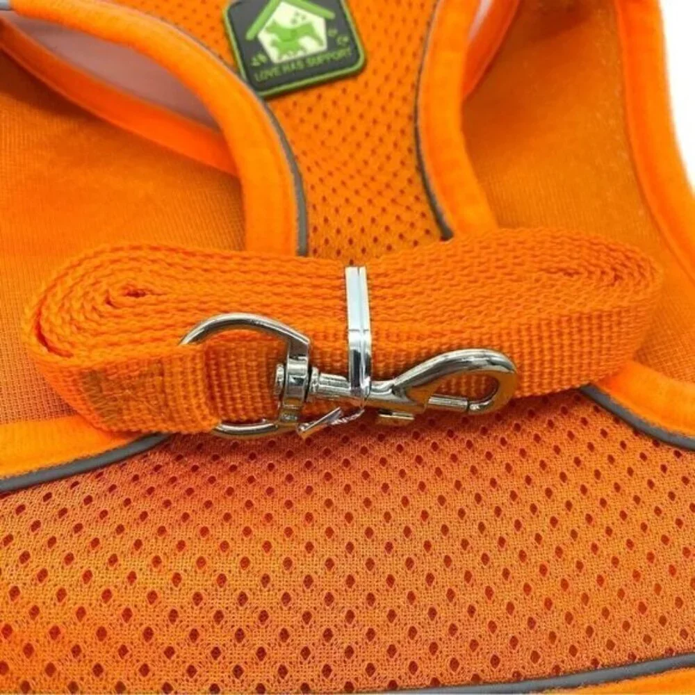 Reflective Dog Harness and Leash Set Neon OrangeNew